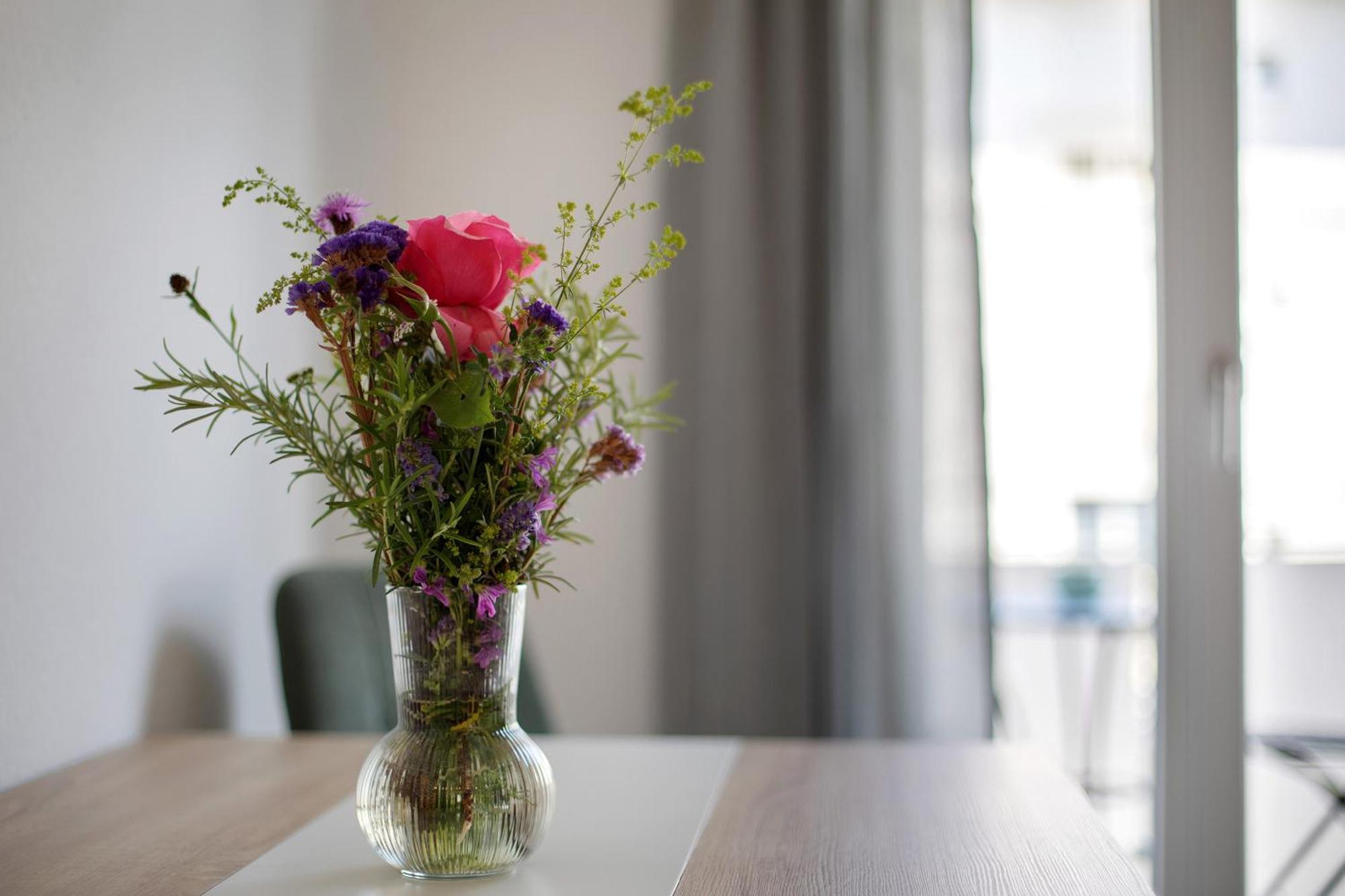 Ferienwohnung Muenster, Sehr Zentral Freiburg im Breisgau Ngoại thất bức ảnh